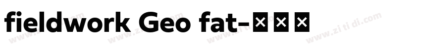 fieldwork Geo fat字体转换